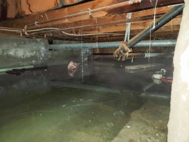 Sewage cleanup and water damage restoration in NM