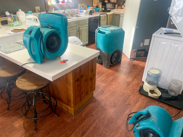 , NM Water damage restoration Company