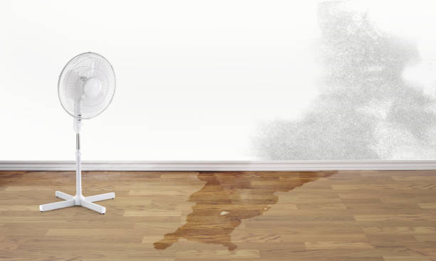 Best Water damage restoration near me  in Shiprock, NM