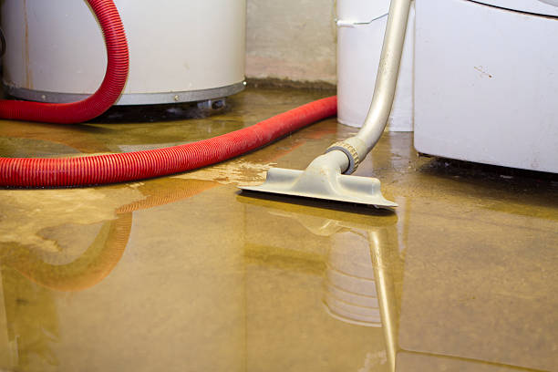 Best Water damage restoration insurance claims  in Shiprock, NM
