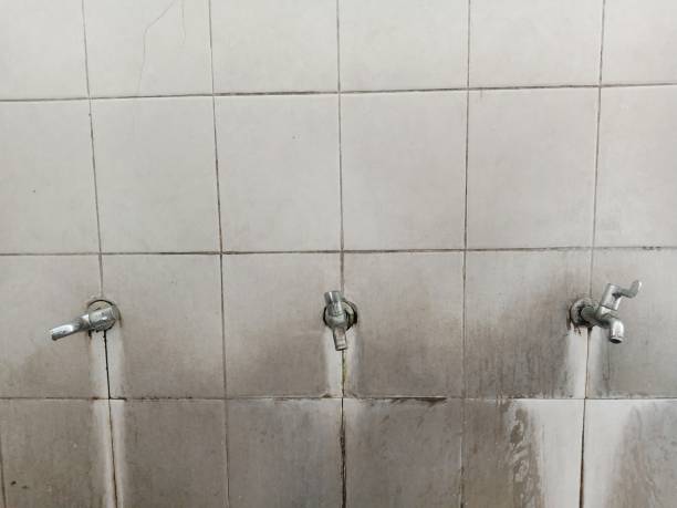 Best Water damage restoration cost  in Shiprock, NM
