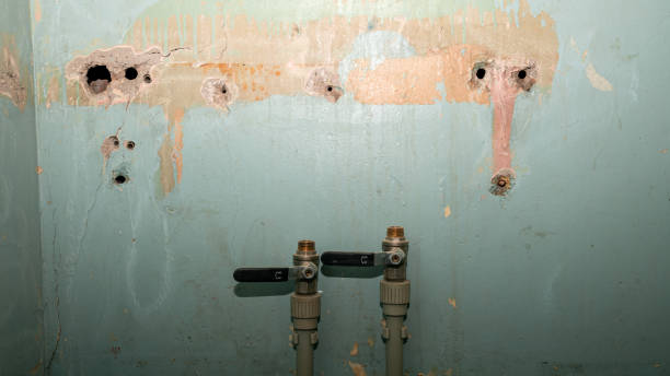 Best Professional water damage repair  in Shiprock, NM