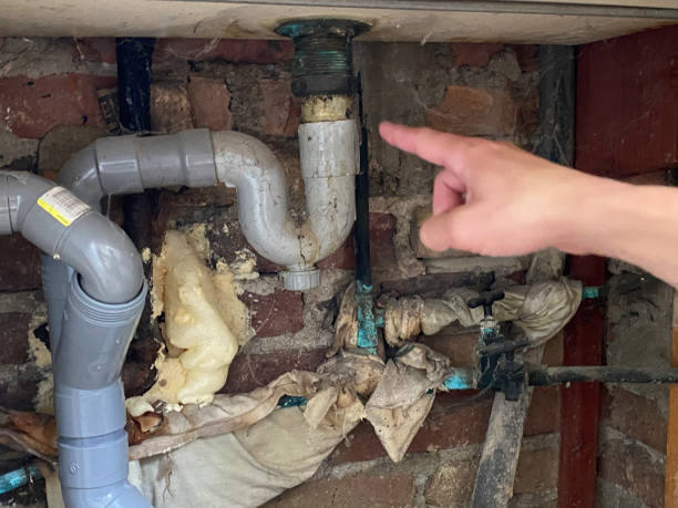 Best Flood damage cleanup  in Shiprock, NM