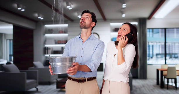 Best Residential water damage restoration  in Shiprock, NM