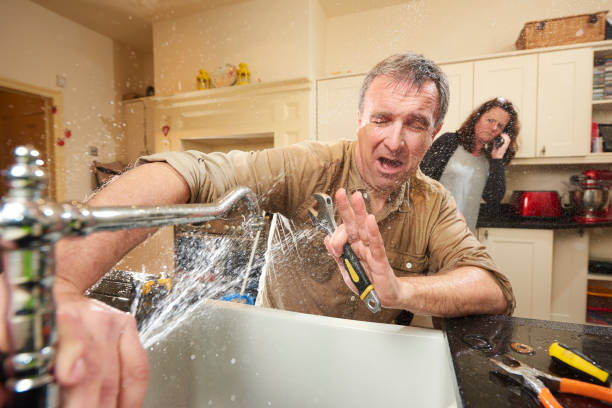 Best Water damage cleanup near me  in Shiprock, NM